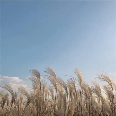 山海诀官方最新版下载